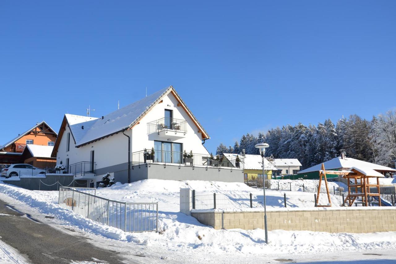 Apartmány Allis Lipno nad Vltavou Kültér fotó